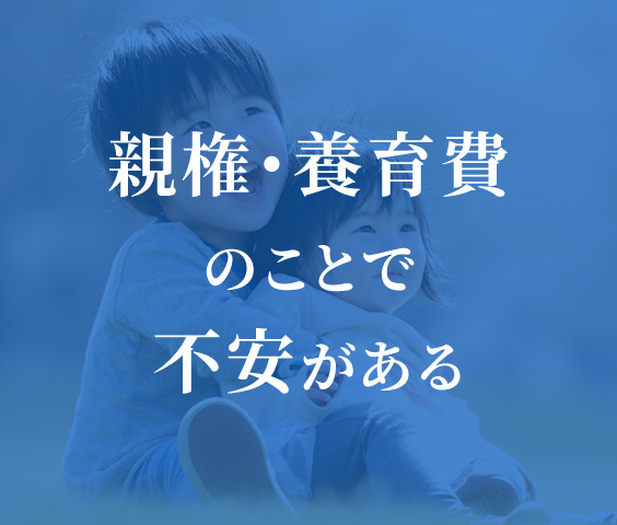 親権・養育費のことで不安がある